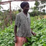 Indigenous Education Support | Holy Spirit College