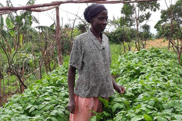 Indigenous Education Support | Holy Spirit College